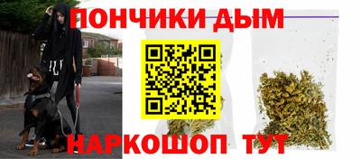 индика Кулебаки