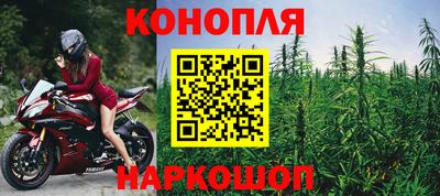 индика Кулебаки