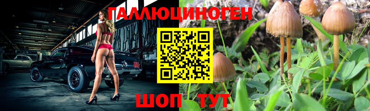 Хабаровск  даркнет сайт  Вход с VPN  Псилоцибиновые грибы Magic Shrooms 